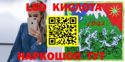 индика Новодвинск