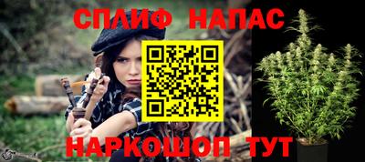 индика Новодвинск