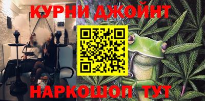 индика Новодвинск
