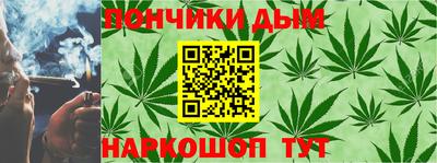 индика Новодвинск
