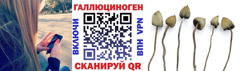 Галлюциногенные грибы мицелий  купить   дарк нет официальный сайт  Усть-Джегута 
