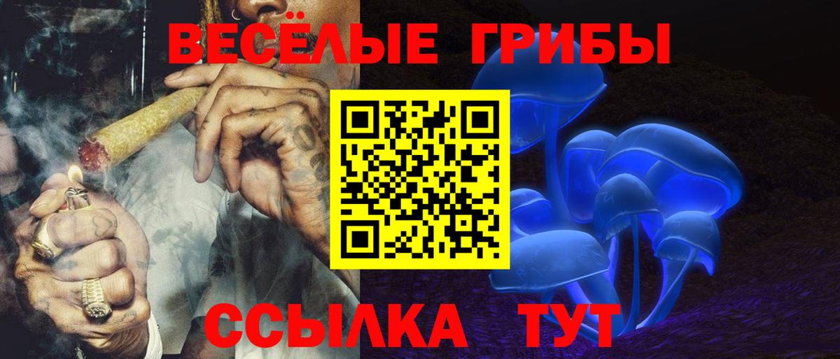 Псилоцибиновые грибы прущие грибы Усть-Джегута