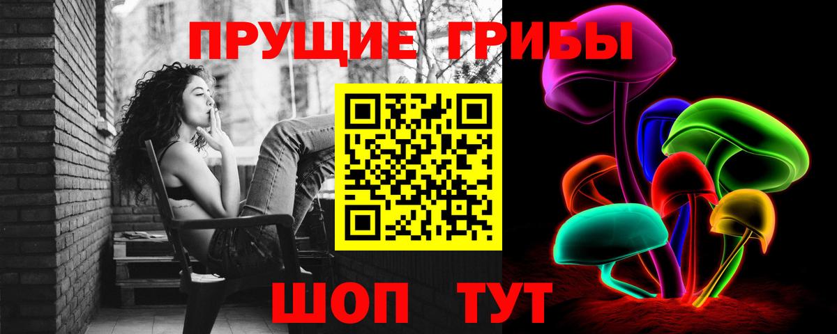 Усть-Джегута  цена наркотик  Вход с VPN  Галлюциногенные грибы мухоморы 