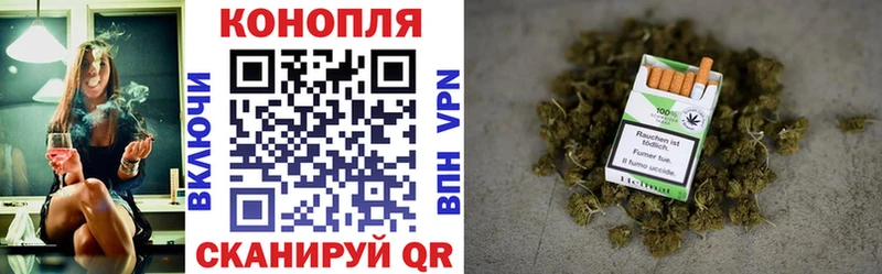 Бошки марихуана White Widow  как найти   Усть-Джегута 